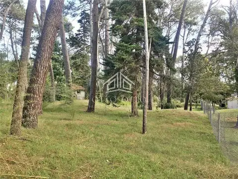 Terreno en venta Cantegril