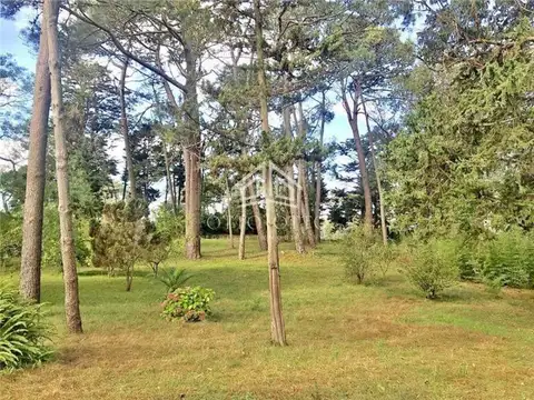 Terreno en venta Cantegril