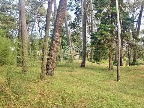 TERRENOS/FRACCIONES/LOTEOS - TERRENOS/FRACCIONES/LOTEOS - CANTEGRIL, PUNTA DEL ESTE