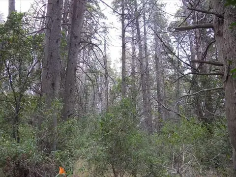 Terreno en Venta 106  mts Fondo