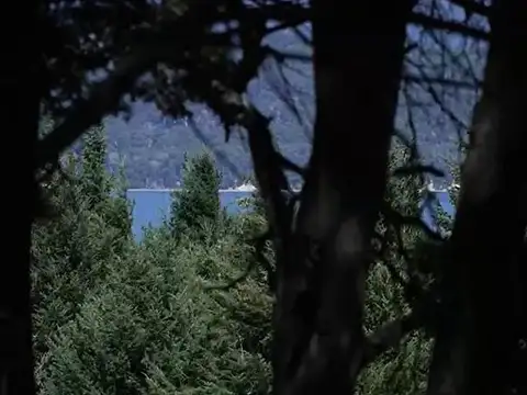 Huemul - Ruta 40