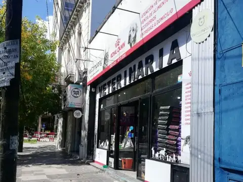 Alte F Segui 800