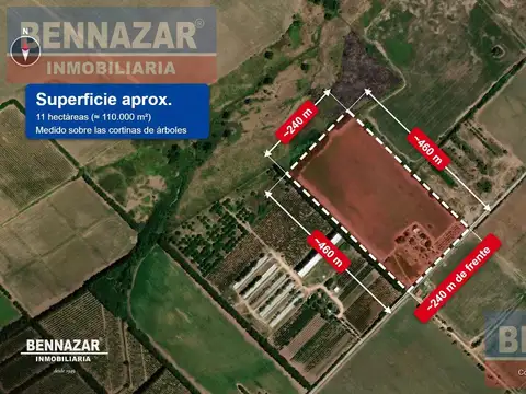 11 HECTAREAS, Rio Tala, San Pedro, Provincia de Buenos Aires