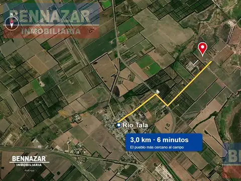 Venta Campo 11 Hectáreas en Río Tala