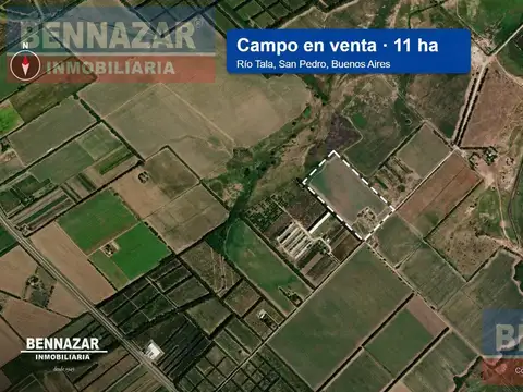 11 HECTAREAS, Rio Tala, San Pedro, Provincia de Buenos Aires