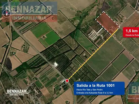 Venta Campo 11 Hectáreas en Río Tala