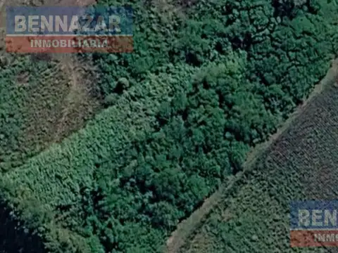 Campo en Rio Tala