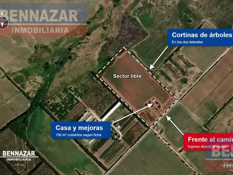 Venta Campo 11 Hectáreas en Río Tala