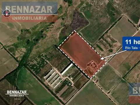 Venta Campo 11 Hectáreas en Río Tala