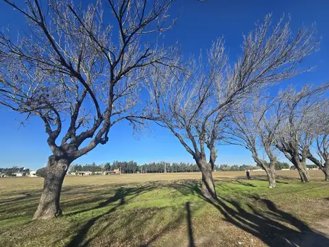 Terreno en Venta en Los Laureles, USD 13.000