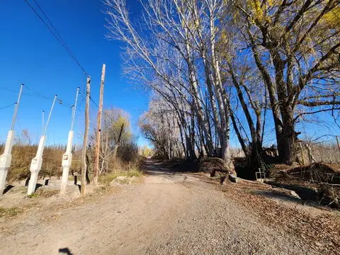 VENTA CHACRA 3,1 HECTAREAS EN VISTA ALEGRE SUR