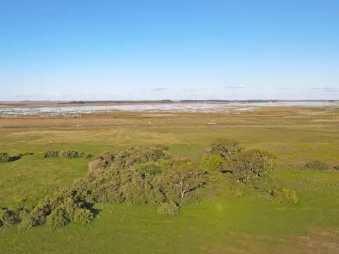 General Guido - 157 ha