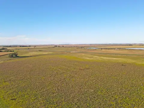 General Guido - 157 ha