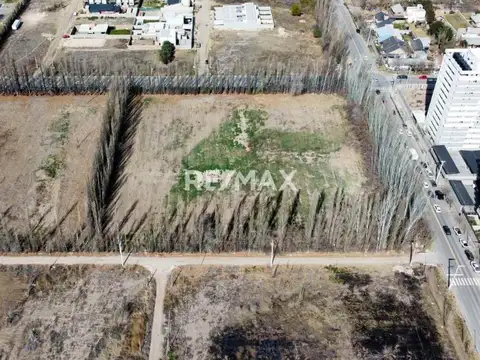 Terreno en Alquiler de 13000,0 m2