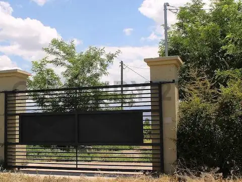 Viñedo , San Carlos , Chilecito