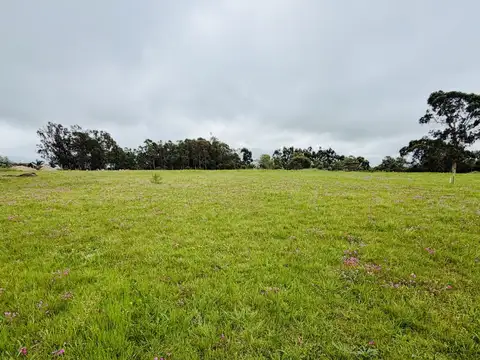 Terreno en Venta en El Chorro, USD 160.000