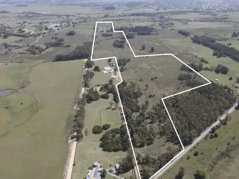 Cam. del Cerro Eguzquiza