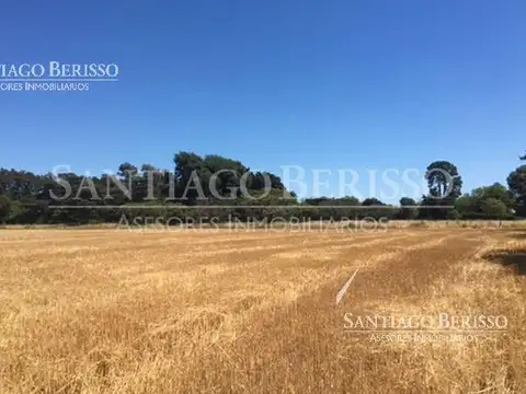 Terreno Campo  en Venta ubicado en Zárate, G.B.A. Zona Norte