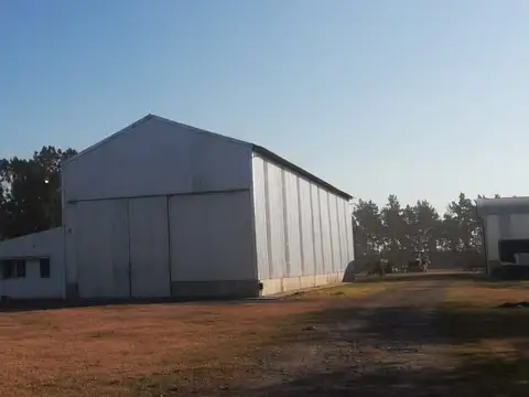 Galpon en Venta en San Lorenzo, USD 350.000