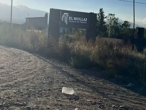 Terreno en Venta en Las Compuertas, USD 19.000