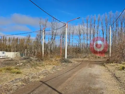 Finca 3, Vista Alegre Norte