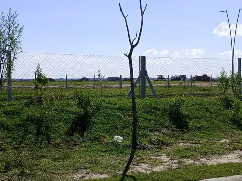 Lote en Venta Nativas  Puertos