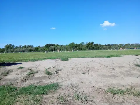 Terreno en Venta de 620,0 m2