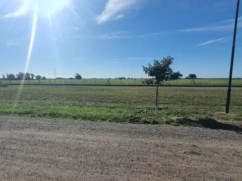 Terreno en Venta de 817,0 m2