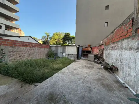 Paunero 800