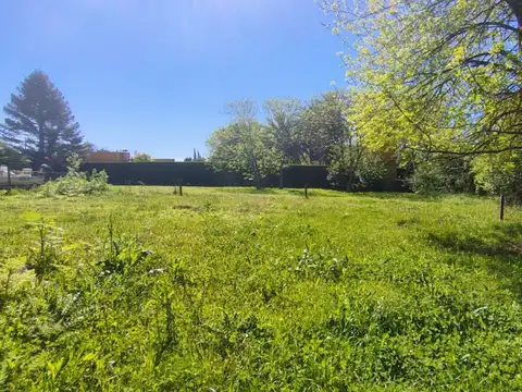 DE LAS HORTENCIAS Y DE LOS PLATANOS 100