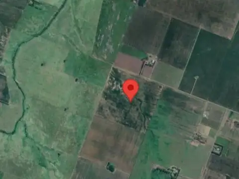 Campo agrícola 35 ha en San Pedro, Buenos Aires