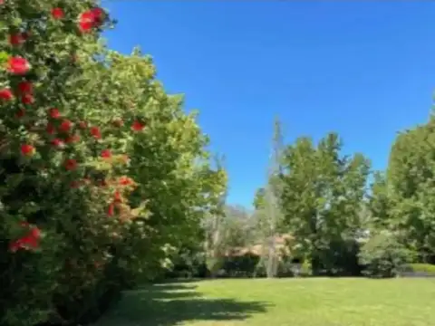 Pisano negocios Inmobiliarios Lotes