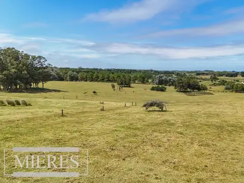 Camino Las Portuguesas