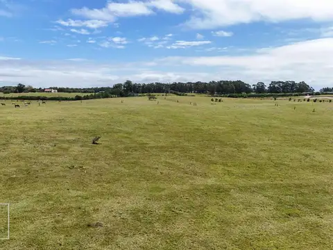 Camino Las Portuguesas