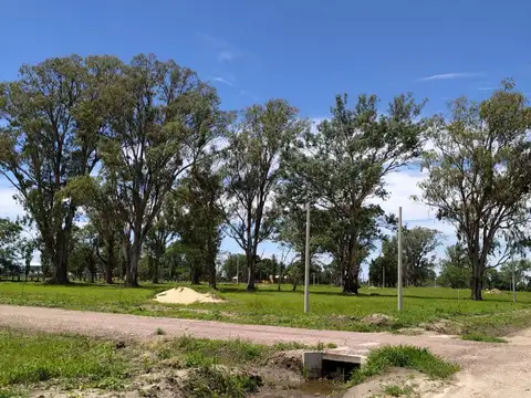 RUTA A009 Y RAUL CARUSSI