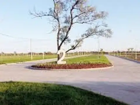 Terreno en Venta 31  mts Fondo