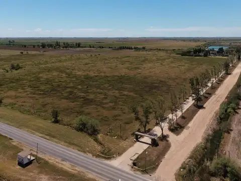 Campo de 22ha en Roldán Sobre Ruta 9