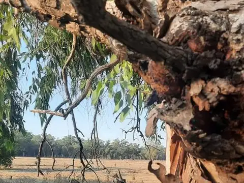 Calle 12 de Octubre a la altura de la Ruta 210 km 62 aprox.