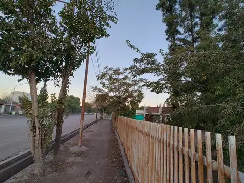 Ruta Provincial 50 y calle Miguez 100