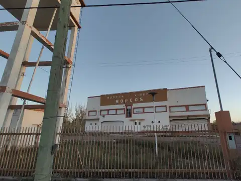 Venta de Bodega en San Martín, Mendoza