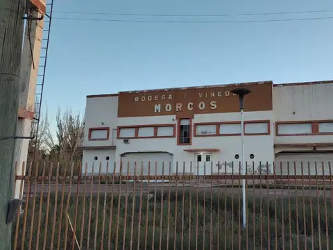 Venta de Bodega en San Martín, Mendoza