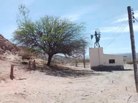 Campo en venta - 1.200 Hectáreas - Cafayate