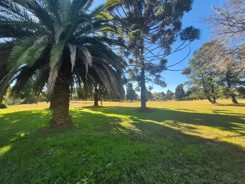 Casa en Venta con 4 cocheras