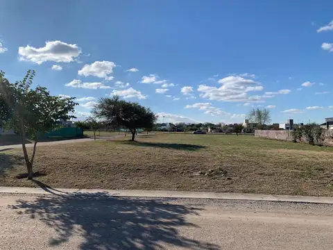 La Cercania 6