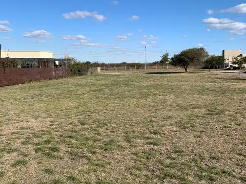La Cercania 6