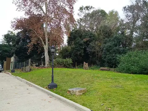 Velez Sarfield 300