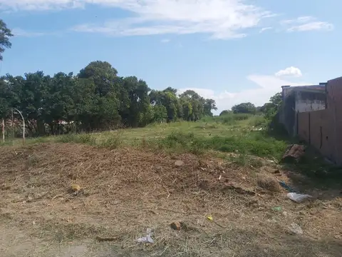 Doctor Román Subiza y Saenz