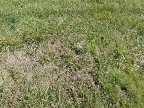 Crucero General Belgrano e/ Américo Vespucio y Almirante Brown