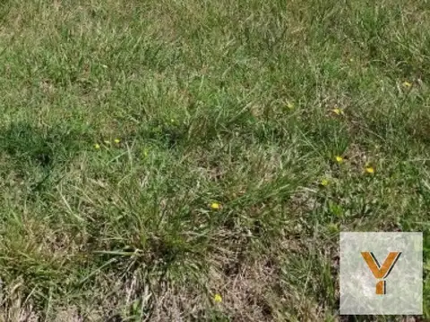 Terreno en venta - 300Mts2 - Santa Elena, Mar Chiquita