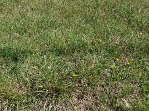 Terreno en venta - 300Mts2 - Santa Elena, Mar Chiquita